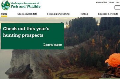 How to Get a Fishing License in Washington State