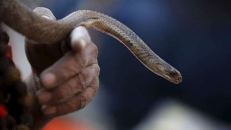 12 Snake Charmers Called to UP Jail After Snake Bite Three Prisoners, One Dead