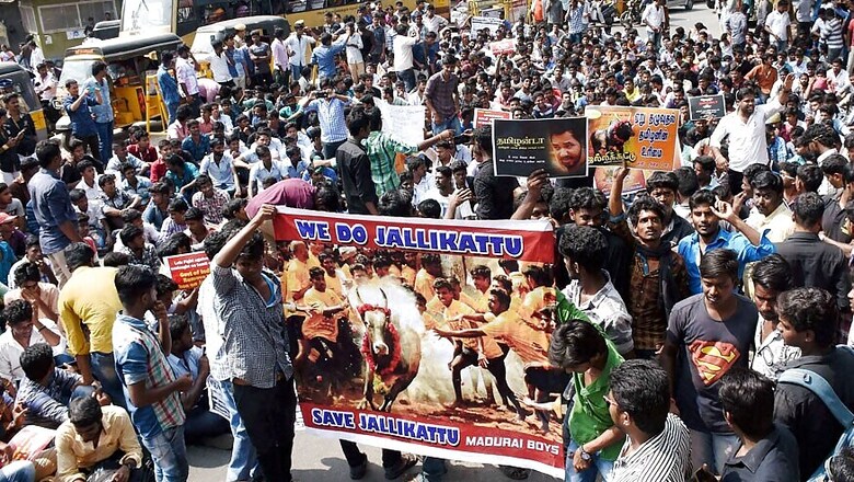 DMK Protests Against Jallikattu Ban, MK Stalin Slams PM