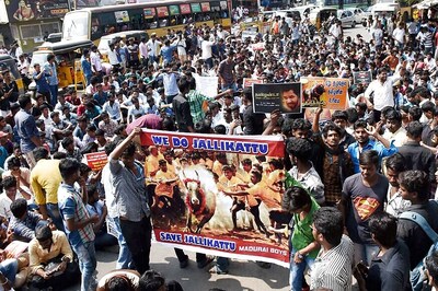 DMK Protests Against Jallikattu Ban, MK Stalin Slams PM