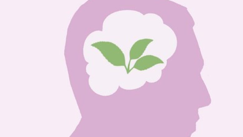 What Does It Mean to Have Naturalistic Intelligence?