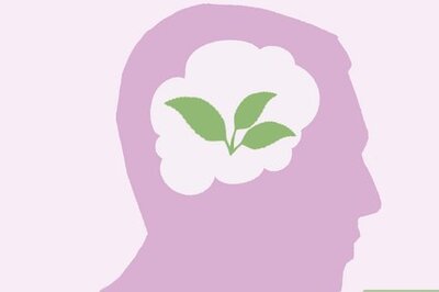 What Does It Mean to Have Naturalistic Intelligence?