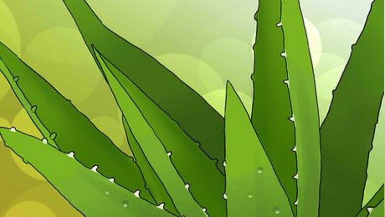 How to Use Aloe Ice Cubes to Treat a Sunburn