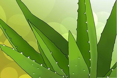 How to Use Aloe Ice Cubes to Treat a Sunburn