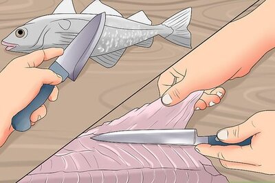 How to Preserve Fish