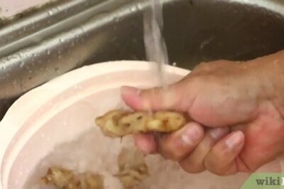 How to Extract Ginger Juice