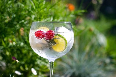 World Gin Day 2024: Refreshing Gin Recipes for Every Occasion