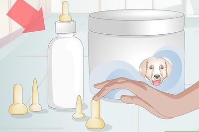 How to Feed Newborn Puppies