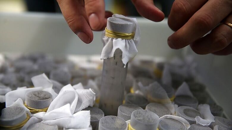 More Than 200 People Test Positive for Dengue in Jammu and Kashmir