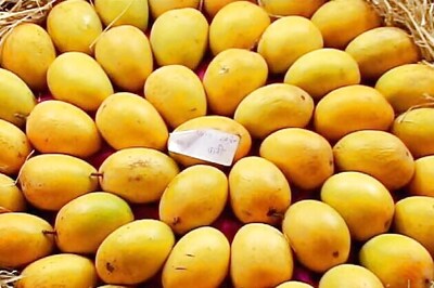 Low yield to hit mango prices this year