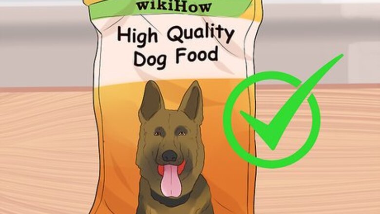 How to Holistically Care for a Dog