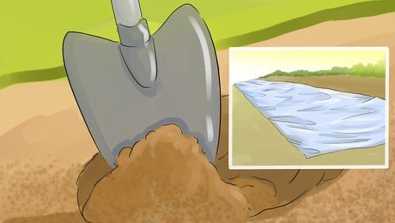 How to Harvest Heartsease