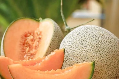 4 Time-tested Ways To Select The Perfect Muskmelon This Summer