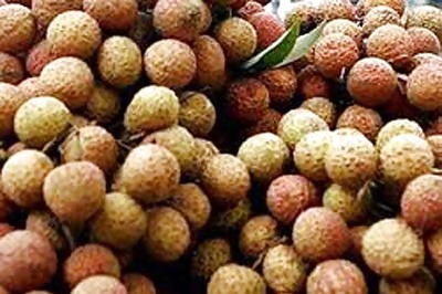 Bumper litchi crop this year, 20 per cent more harvest expected in Bihar