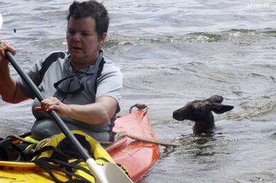 Flood hits Oz towns, residents evacuated