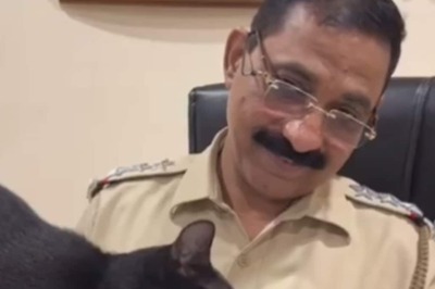 Watch: In This Mumbai Police Officer's Cabin, Cat Lola Is In Charge
