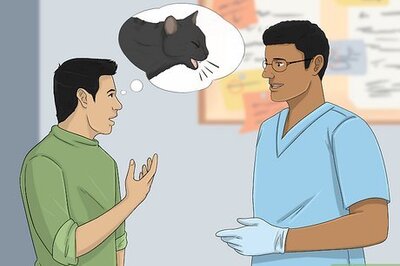 How to Help a Cat That Swallowed String