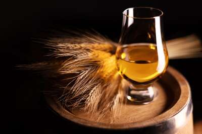 International Whiskey Day 2023: 4 Recipes You Must Try This International Whiskey Day