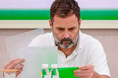 Rahul Gandhi Will Contest from Kerala's Wayanad: Congress MP K Muraleedharan