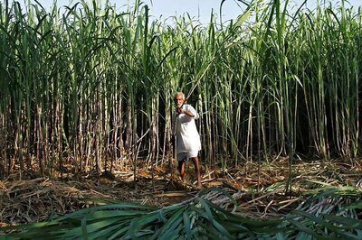 New Technology Developed by Cochin University of Science and Technology May Help Double Farmers' Income