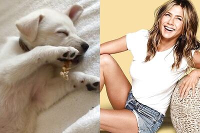 Jennifer Aniston Introduces Her Adorable Rescue Puppy Who 'Stole' Her Heart Immediately