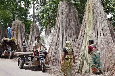 Bad for Business: Covid-19 Lockdown Shuts the Door on Karnataka's Rural Economy