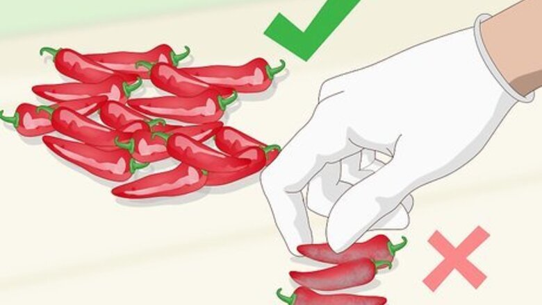 How to Store Chilies