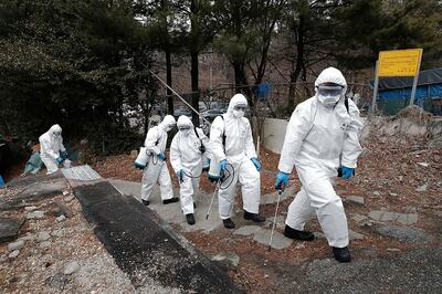 Full Cafes, Apple Store Queues in South Korea After Outbreak Shows Success of Mass Testing Model