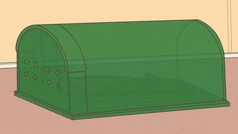 How to Catch and Look After Wild Mice