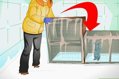 How to Keep a Rabbit Warm