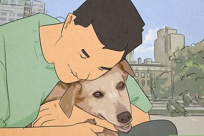 How to Work at an NGO