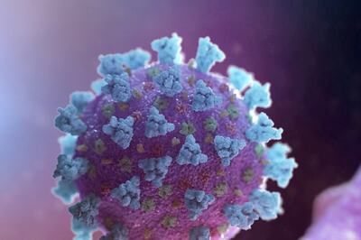 New COVID-19 Sub-variant JN.1 Detected in Man in Maharashtra's Sindhudurg District