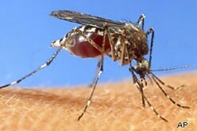 Rise of dengue cases in Delhi alarming