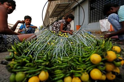 Journeying from Lemon Orchard to 'Thela' to Understand Why Sour Fruit Is So Costly Right Now | EXPLAINED