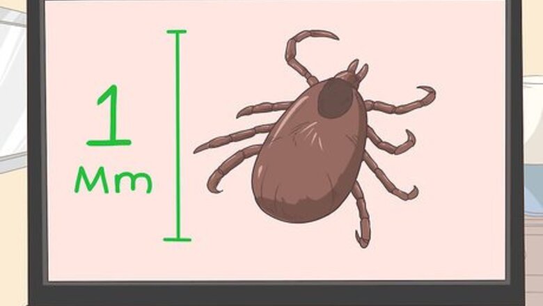 How to Check for Ticks