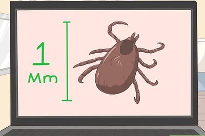 How to Check for Ticks