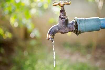 Water Supply in Delhi to be Affected on Sunday Due to High Algae, Ammonia Levels in Yamuna