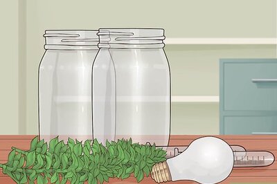 How to Show Oxygen Is a By Product of Photosynthesis