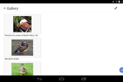 How to Add an Image Into a Wikipedia Article