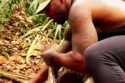 Watch: Man Wrestles With 14-foot-long Python
