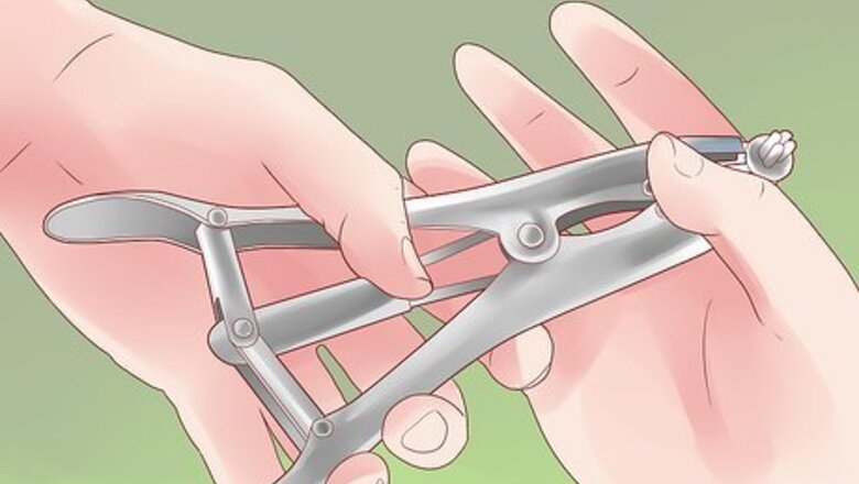 How to Band a Goat
