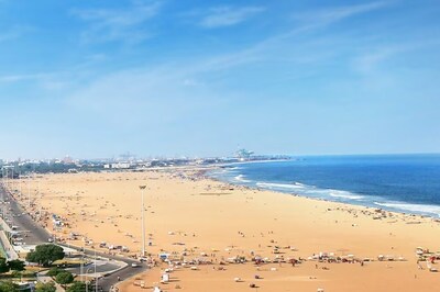 Hundreds of Venomous Sea Creatures Make Surprise Appearance On Chennai Beach