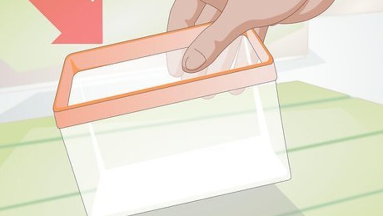 How to Clean a Hermit Crab