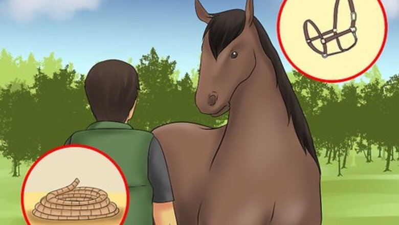 How to Catch a Horse