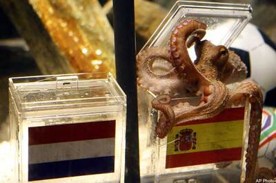 Astrologer 'octopus Paul' gets a successor