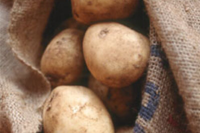 Potato sales to go online in Bengal