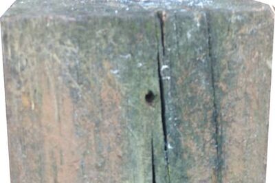 How to Make a Squirrel Feeder