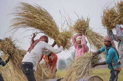 Opinion | Budget 2024: Paving the Way for Resilient and Productive Agriculture Sector