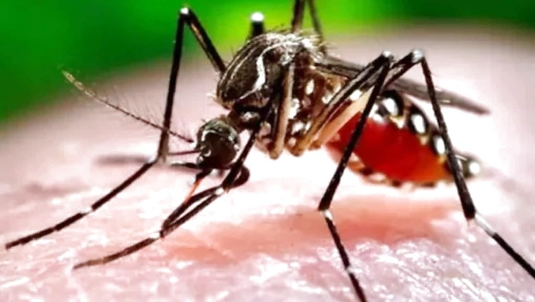 Dengue Death Toll in Delhi Rises to Nine, Cases Mount to Over 2,700