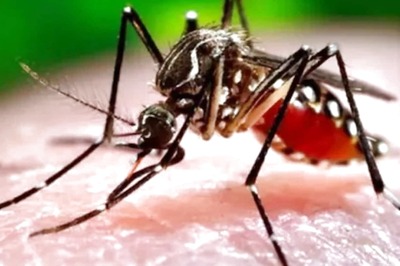 Dengue Death Toll in Delhi Rises to Nine, Cases Mount to Over 2,700